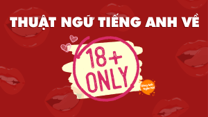 thuật ngữ trong tình dục thông dụng
