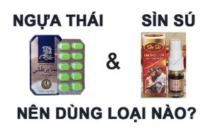 so sánh ngựa thái và sìn sú
