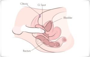 Cậu bé có thể vào âm đạo tối đa bao nhiêu cm