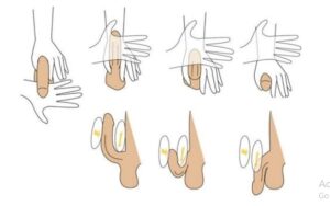 Massage Dương Vật