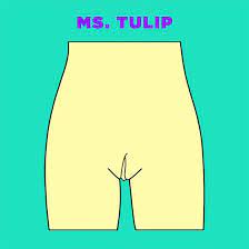 cô bé có những hình dạng nào tulip
