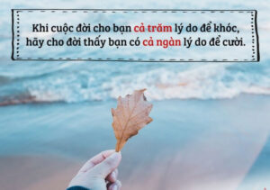 câu nói hay về cuộc sống tình yêu